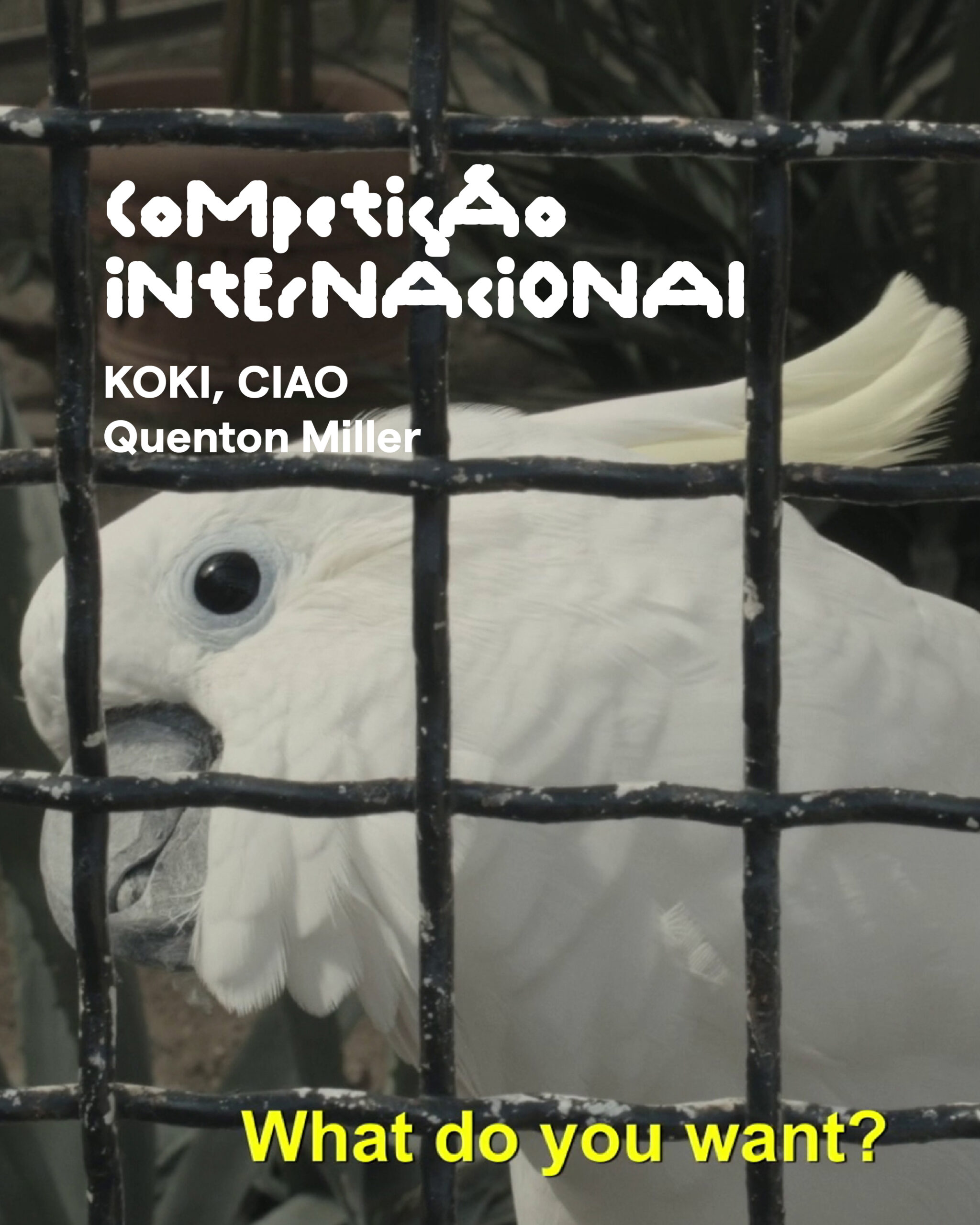 IndieAnima(l) - why animals give us anima 1 IndieLisboa IndieAnima(l) - why animals give us anima